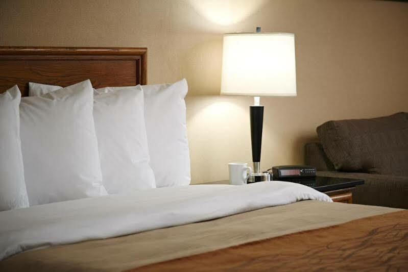 Comfort Inn Pickering Bagian luar foto